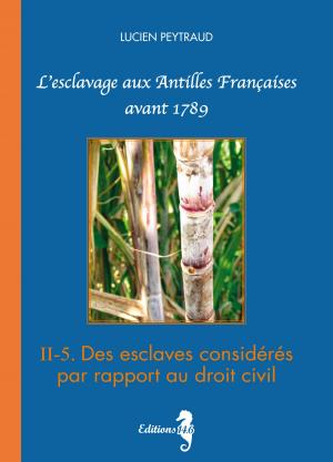 Book cover of II-5 Des esclaves considérés par rapport au droit civil
