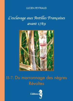 Book cover of II-7 Du marronnage des nègres — Révoltes