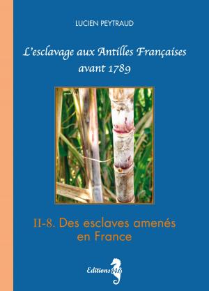 Book cover of II-8 Des esclaves amenés en France