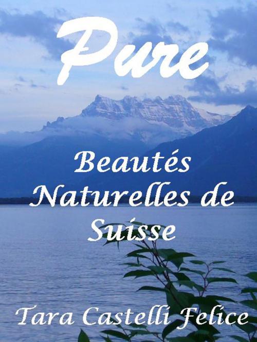 Cover of the book Une Balade en Suisse by Tara Castelli Felice, Madreterra