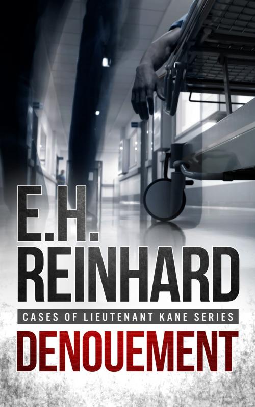 Cover of the book Denouement by E.H. Reinhard, E.H. Reinhard