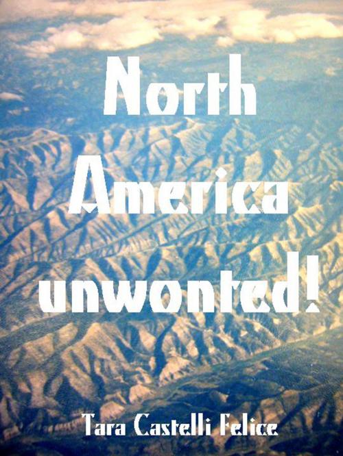Cover of the book Another way to see North America by Tara Castelli Felice, Madreterra