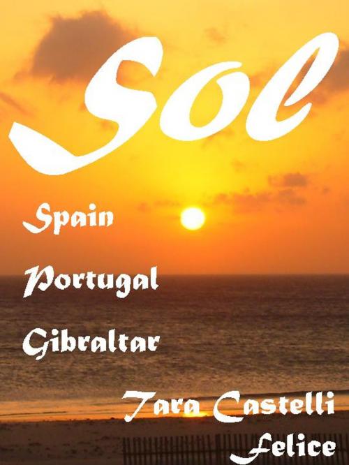 Cover of the book A walk through Spain by Tara Castelli Felice, Madreterra