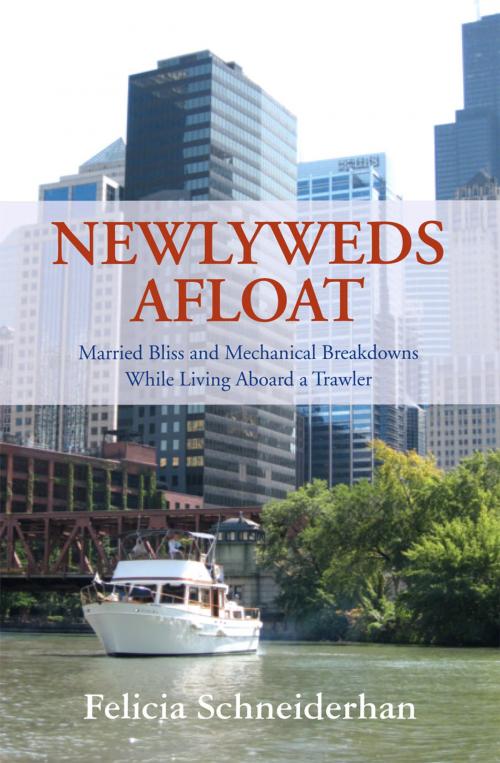 Cover of the book Newlyweds Afloat by Felicia Schneiderhan, Breakaway Books