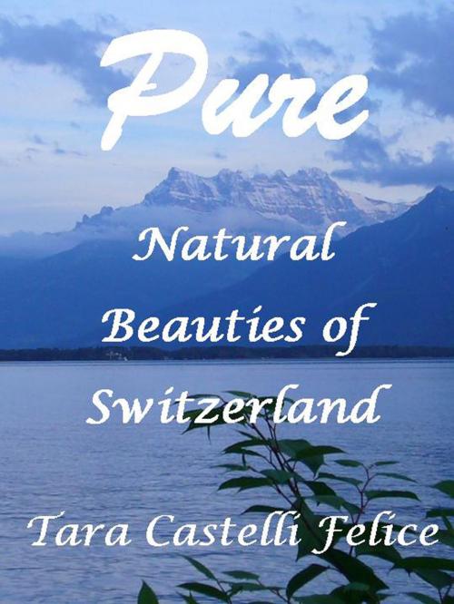 Cover of the book A walk through Switzerland by Tara Castelli Felice, Madreterra