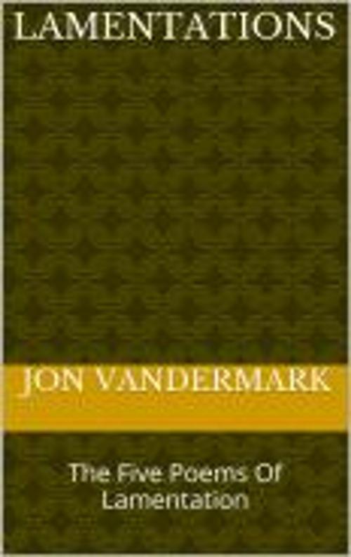 Cover of the book Lamentations by Jonathan Vandermark, Jon Vandermark