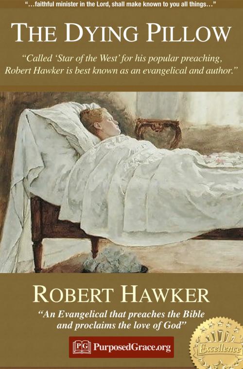 Cover of the book The Dying Pillow by Robert Hawker, PurposedGrace