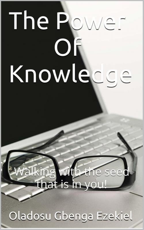 Cover of the book The Power Of Knowledge by Gbenga Ezekiel Oladosu, Mega Feast Press