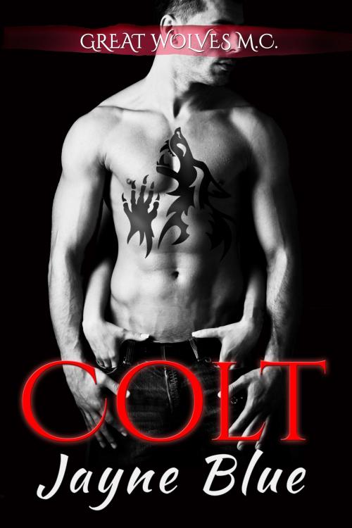 Cover of the book Colt by Jayne Blue, Jayne Blue