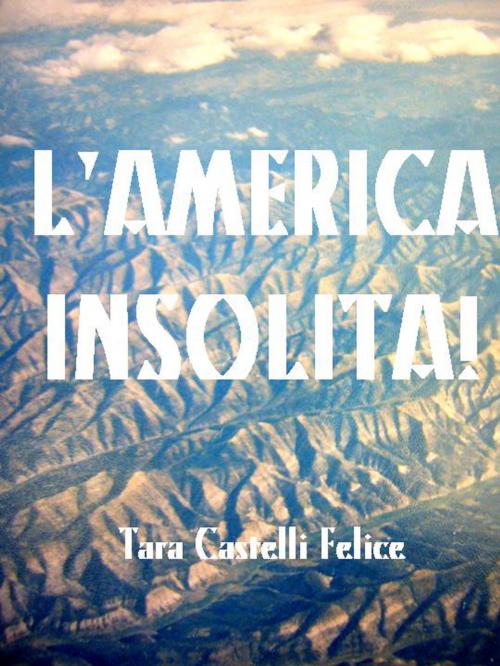 Cover of the book America del Nord Altrimenti by Tara Castelli Felice, Madreterra