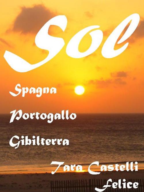 Cover of the book Una passeggiata in Spagna by Tara Castelli Felice, Madreterra