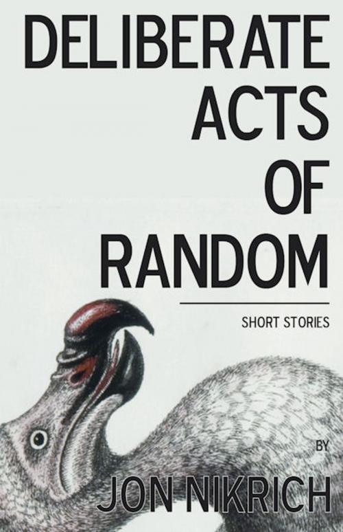 Cover of the book Deliberate Acts of Random by Jon Nikrich, JJNJRJ Publishing