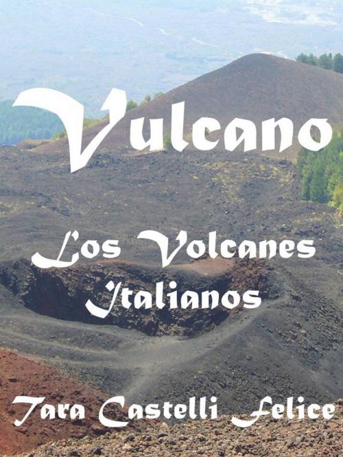 Cover of the book Italia, Tierra de Volcanes by Tara Castelli Felice, Madreterra