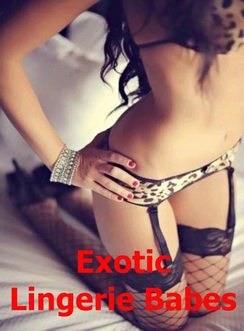 Cover of the book Exotic Lingerie Babes by BDP, BDP