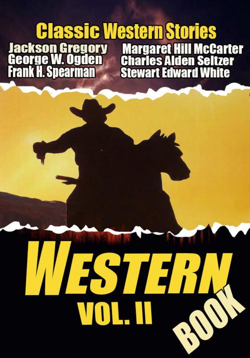 Cover of the book THE WESTERN BOOK VOL. II by WILLIAM MACLEOD RAINE, JACKSON GREGORY, STEWART EDWARD WHITE, Combo Press