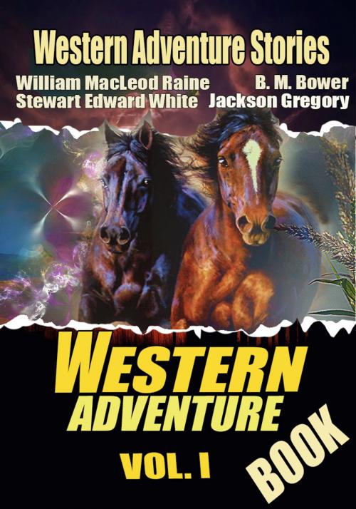 Cover of the book THE WESTERN ADVENTURE BOOK VOL. I by STEWART EDWARD WHITE, WILLIAM MACLEOD RAINE, B. M. BOWER, Combo Press