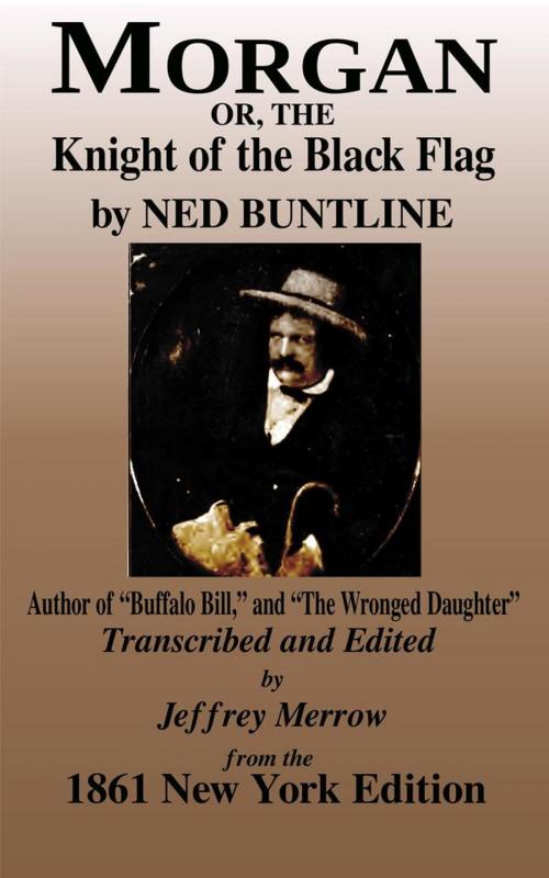 Cover of the book Morgan by Ned Buntline, Tadalique and Company