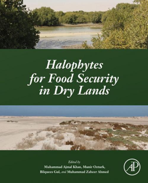Cover of the book Halophytes for Food Security in Dry Lands by Muhammad Ajmal Khan, Munir Ozturk, Bilquees Gul, Muhammad Zaheer Ahmed, Elsevier Science