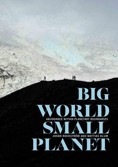 Cover of the book Big World, Small Planet by Johan Rockström, Mattias Klum, Peter Miller, Yale University Press