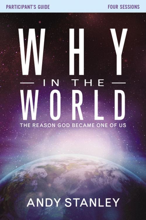 Cover of the book Why in the World Participant's Guide by Andy Stanley, Zondervan