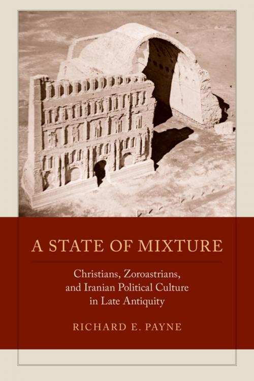 Cover of the book A State of Mixture by Richard E. Payne, University of California Press