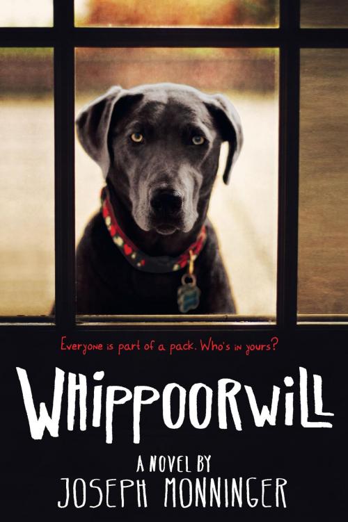 Cover of the book Whippoorwill by Joseph Monninger, HMH Books