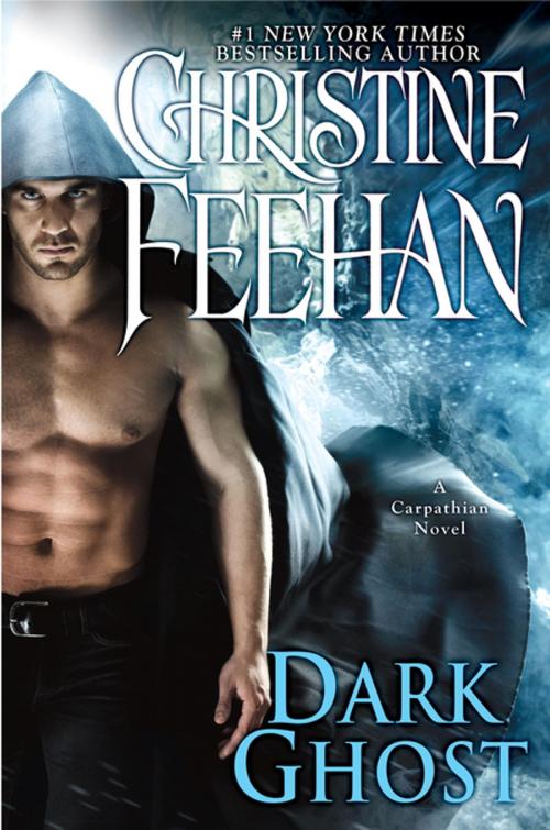 Cover of the book Dark Ghost by Christine Feehan, Penguin Publishing Group