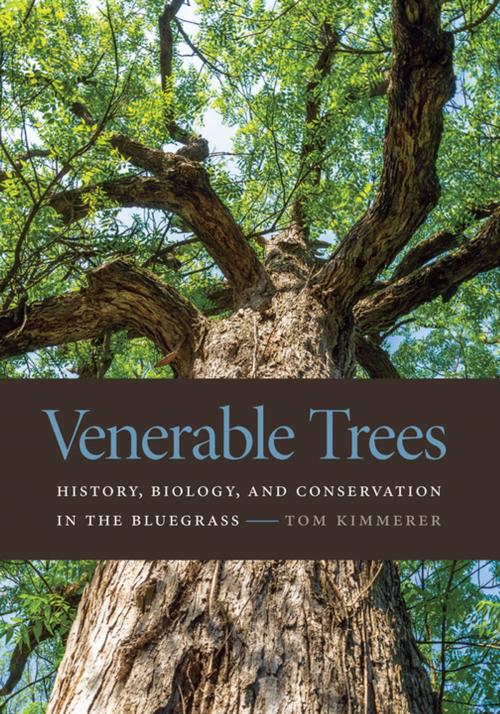 Cover of the book Venerable Trees by Tom Kimmerer, The University Press of Kentucky