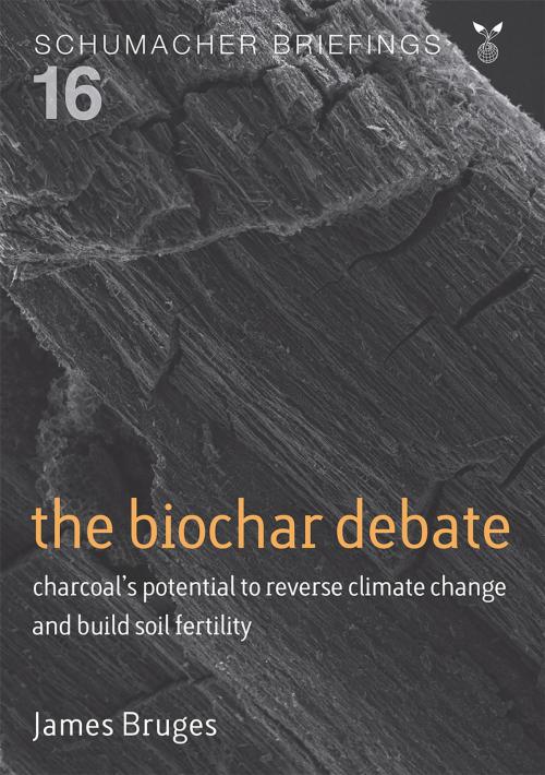 Cover of the book Biochar Debate by James Bruges, UIT Cambridge Ltd.