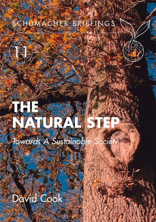 Cover of the book Natural Step by David Cook, Karl-Henrik Robèrt, UIT Cambridge Ltd.