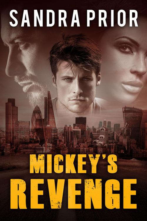 Cover of the book Mickey's Revenge by Sandra Prior, JJD Publishers