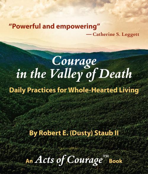 Cover of the book Courage in the Valley of Death by Robert E. Staub, Dynamic Spiral Press