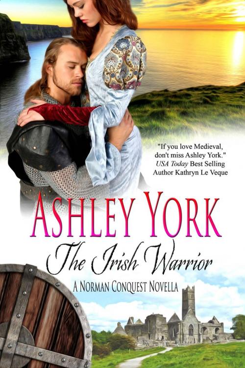 Cover of the book The Irish Warrior by Ashley York, Ashley York