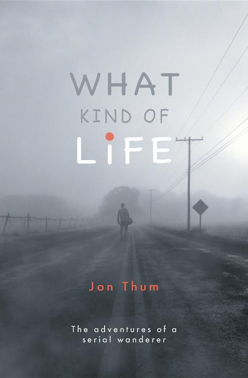 Cover of the book What Kind Of Life by Jon Thum, What Kind Of Books