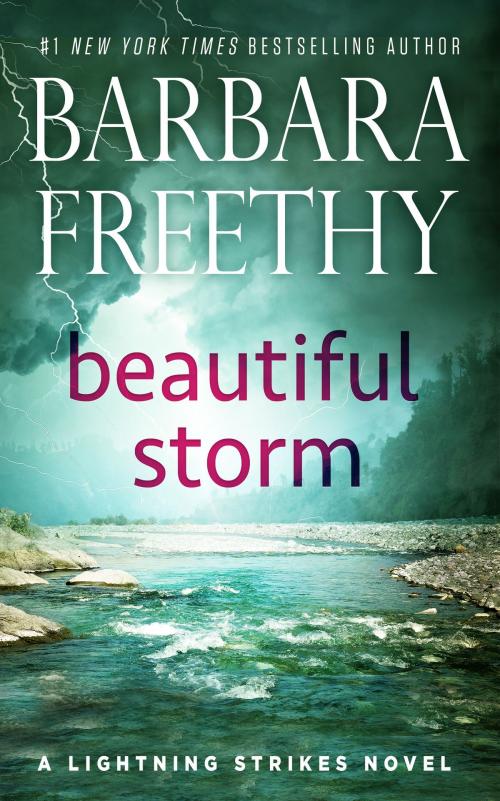 Cover of the book Beautiful Storm by Barbara Freethy, Fog City Publishing, LLC