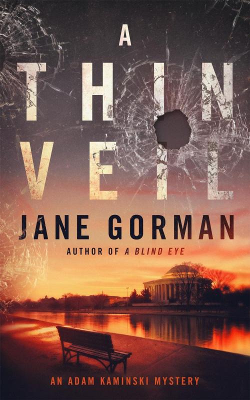Cover of the book A Thin Veil by Jane Gorman, Blue Eagle Press