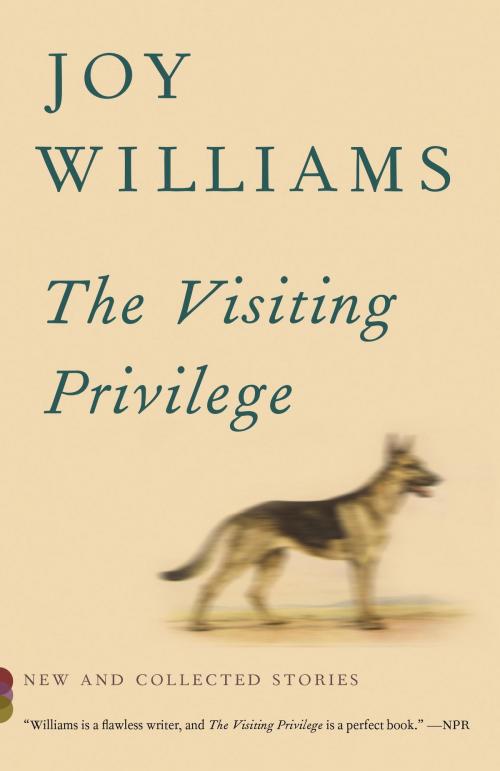 Cover of the book The Visiting Privilege by Joy Williams, Knopf Doubleday Publishing Group