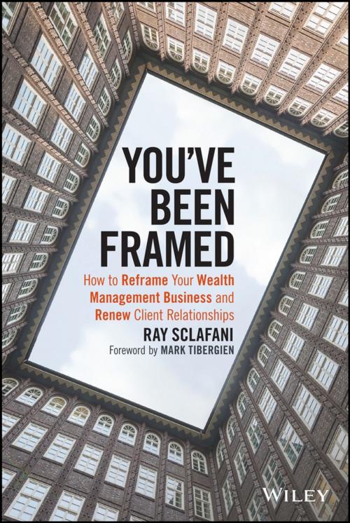 Cover of the book You've Been Framed by Ray Sclafani, Wiley