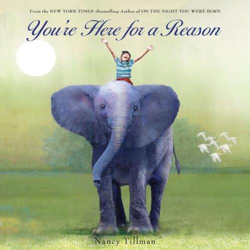 Cover of the book You're Here for a Reason by Nancy Tillman, Feiwel & Friends