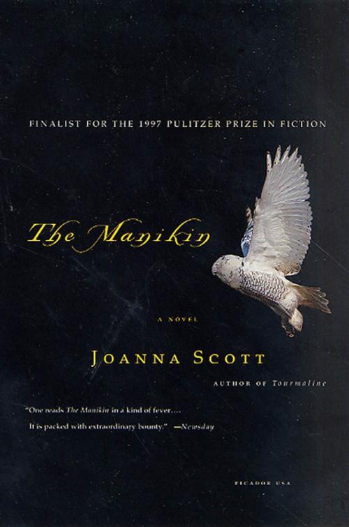 Cover of the book The Manikin by Joanna Scott, Picador
