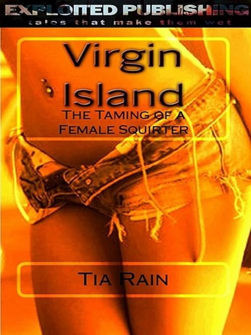 Cover of the book Virgin Island by Tia Rain, Tia Rain