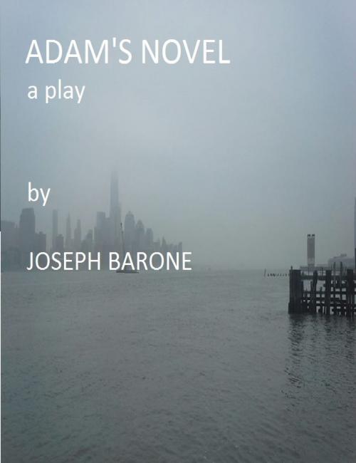 Cover of the book Adam's Novel by Joseph Barone, Joseph Barone
