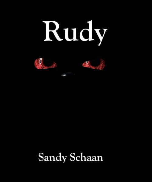 Cover of the book Rudy by Sandy Schaan, Sandy Schaan