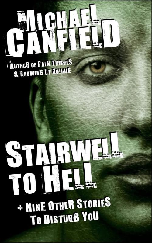 Cover of the book Stairwell to Hell + Nine Other Stories to Disturb You by Michael Canfield, Vauk House Press
