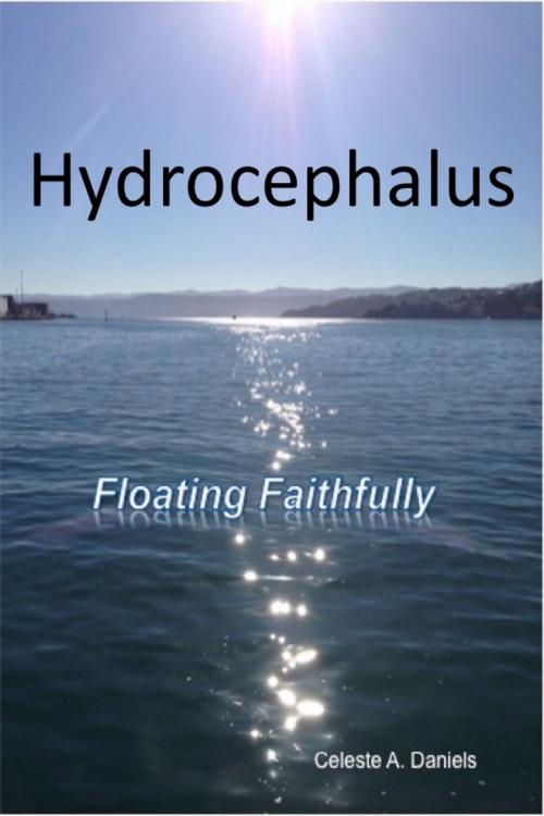Cover of the book Hydrocephalus: Floating Faithfully by Celeste A. Daniels, Celeste A. Daniels