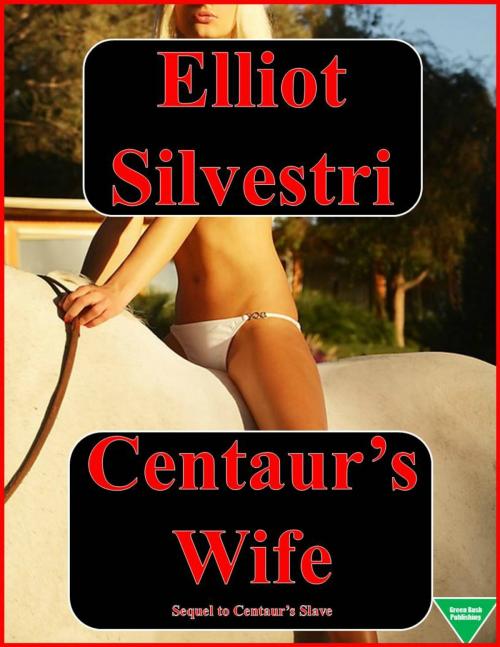 Cover of the book Centaur’s Wife by Elliot Silvestri, Elliot Silvestri