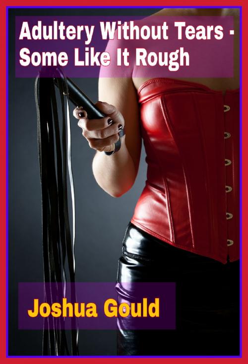 Cover of the book Adultery Without Tears: Some like it rough by Joshua Gould, Joshua Gould