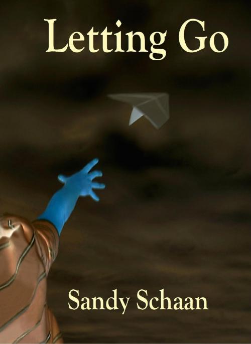 Cover of the book Letting Go by Sandy Schaan, Sandy Schaan