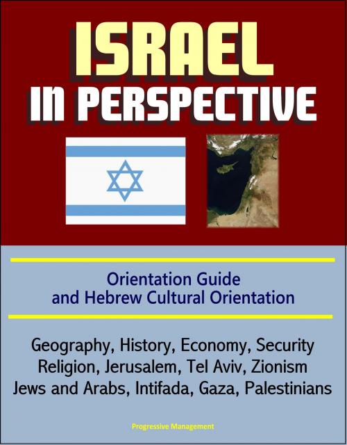 Cover of the book Israel in Perspective: Orientation Guide and Hebrew Cultural Orientation: Geography, History, Economy, Security, Religion, Jerusalem, Tel Aviv, Zionism, Jews and Arabs, Intifada, Gaza, Palestinians by Progressive Management, Progressive Management