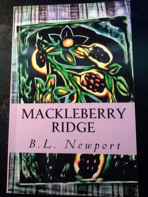 Cover of the book Mackleberry Ridge by B.L. Newport, B.L. Newport